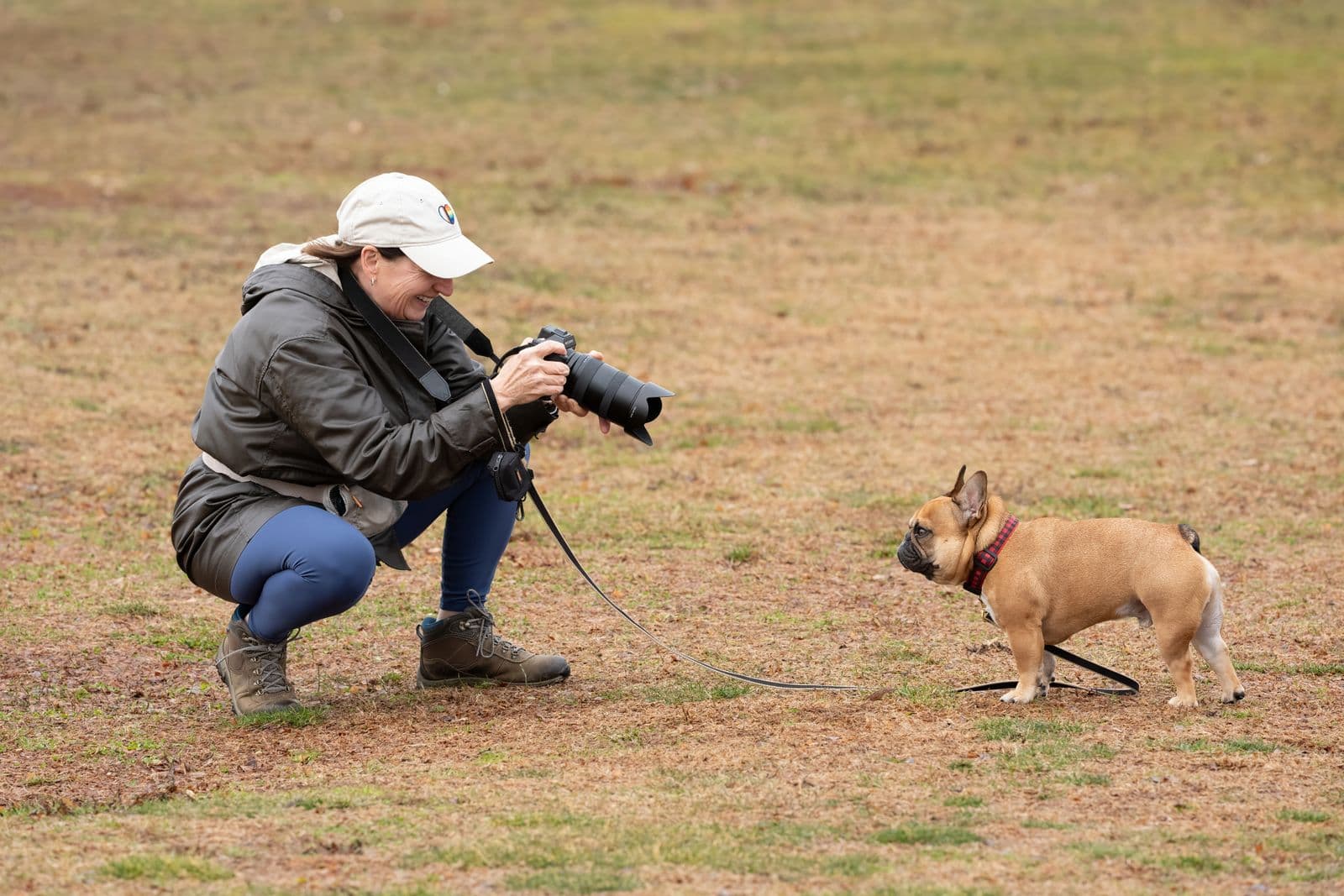 Pet Adoption Listing Photos That Get Applications