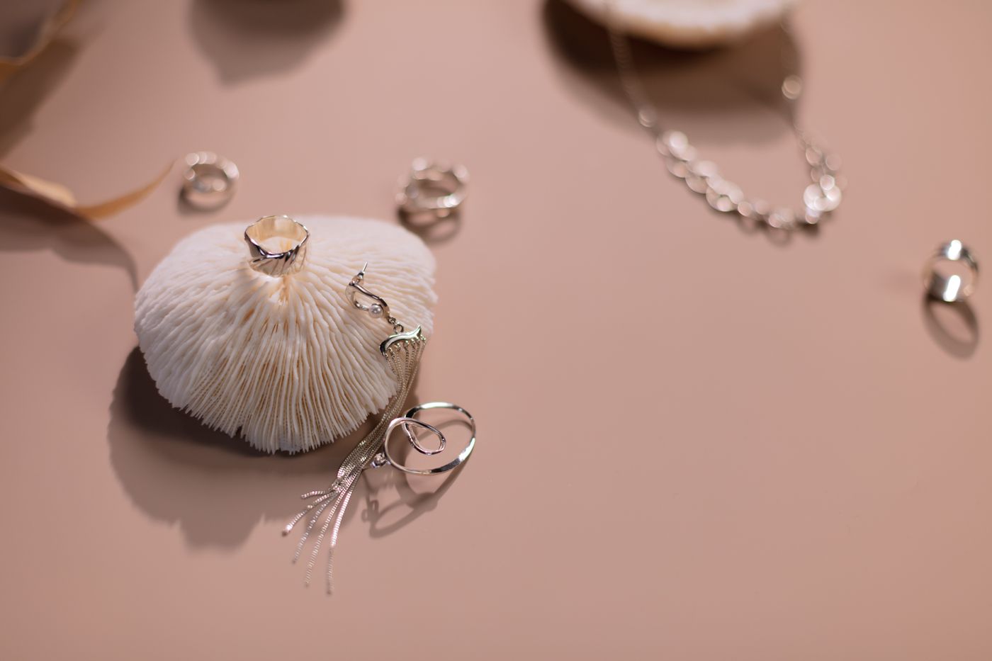 Consistent, distraction-free backdrops let a collection read as a collection